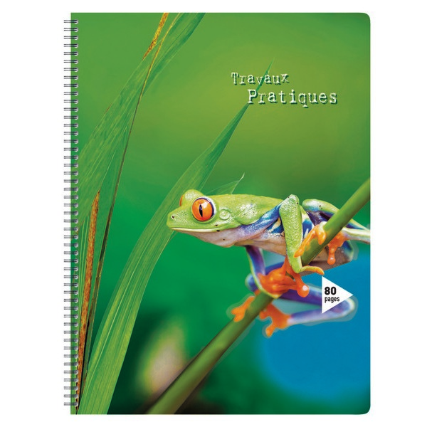 CAHIER TRAVAUX PRATIQUES RELIURE CARREFOUR