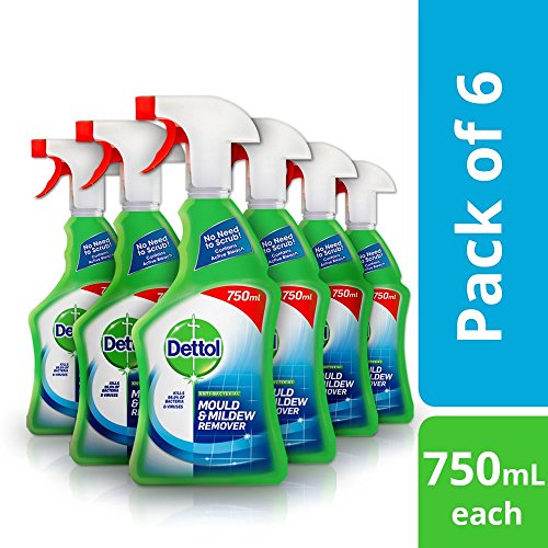 Dettol Spray Démoulant et Anti-Moisissure, 750 ml, Paquet de 6 (l'emballage